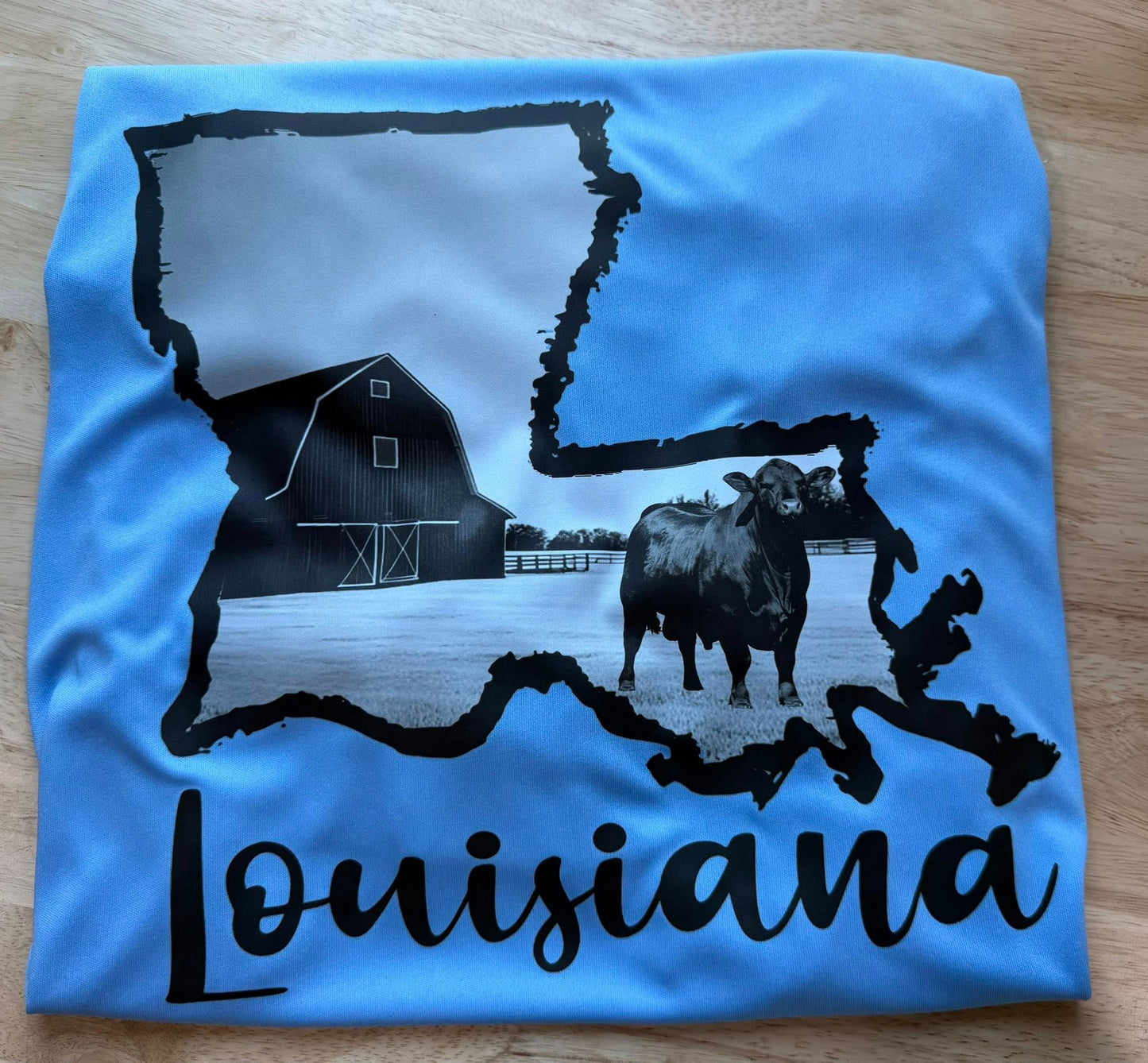 Louisiana - Cattle and Barn